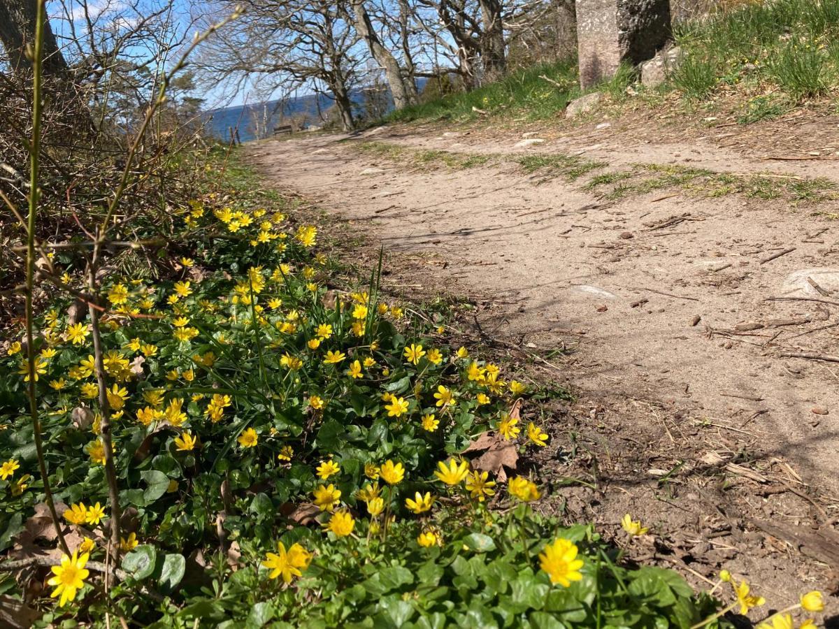 Gunnabo Villa Borgholm Bagian luar foto